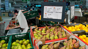 «Я с бомжами за последнюю крысу дерусь!» Беларусы Польши смеются над вбросом пропаганды от БТ