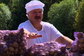 Картофельная измена, или Кто подставил Лукашенко?