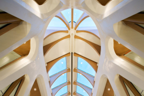 Почему новый вокзал Бельгии похож на скелет огромного животного