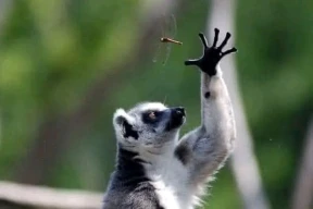 Брухан: «Людям не нравится, когда их держат в ежовых рукавицах, но при этом ничего не дают взамен»